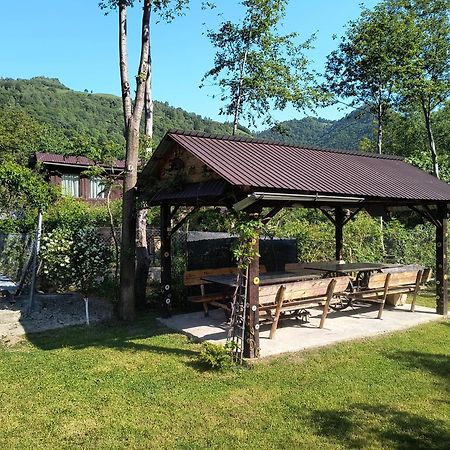 Casa De Vacanta Vidrighin Rau Sadului Екстер'єр фото