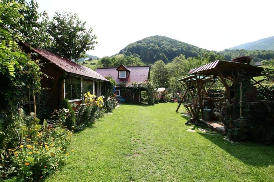 Casa De Vacanta Vidrighin Rau Sadului Екстер'єр фото