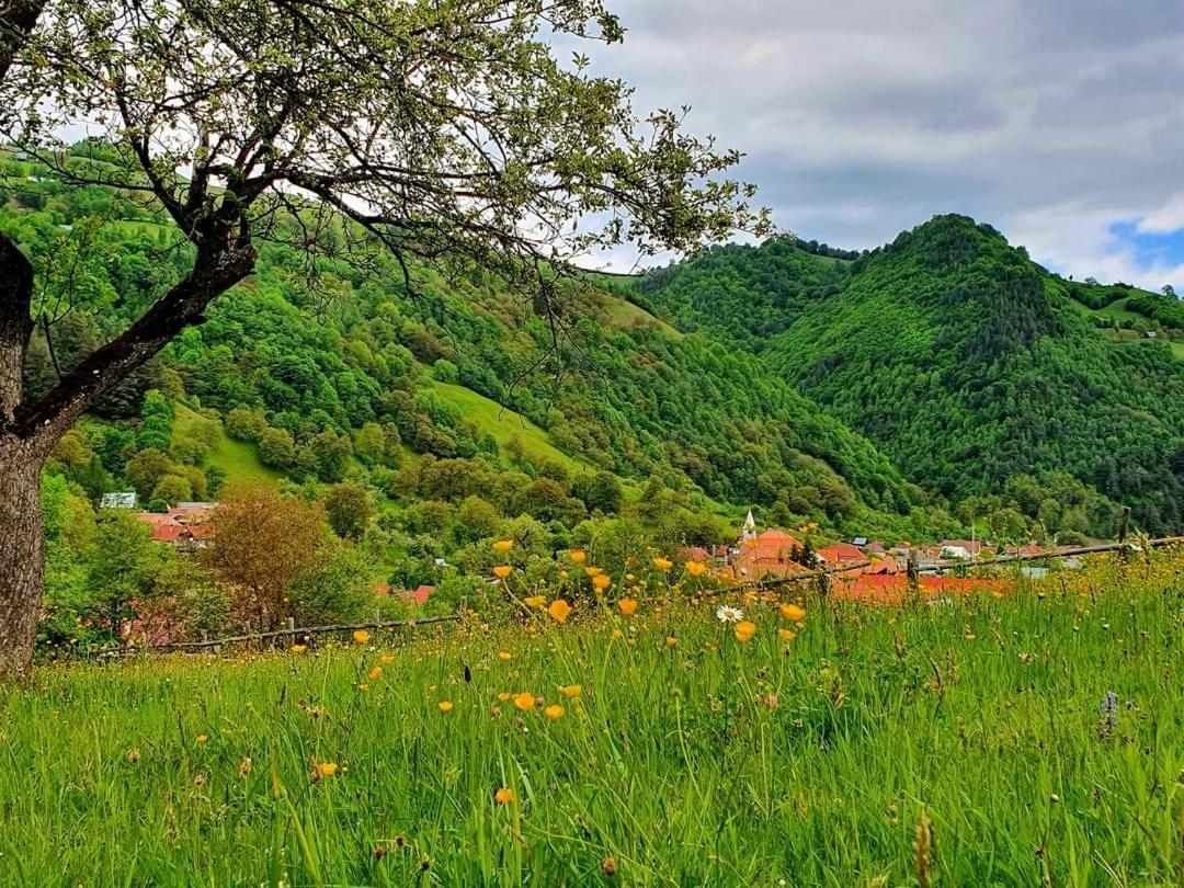Casa De Vacanta Vidrighin Rau Sadului Екстер'єр фото