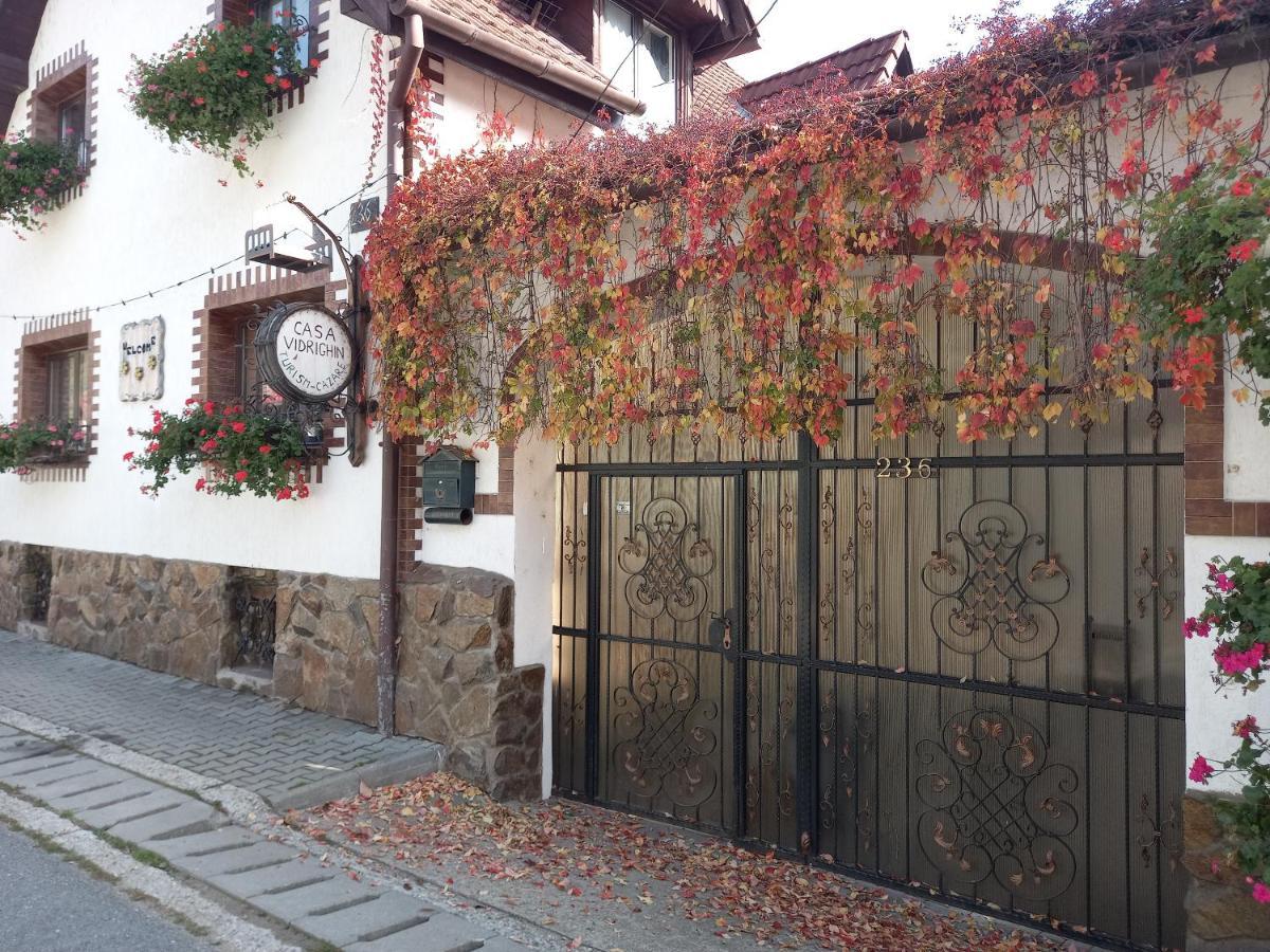 Casa De Vacanta Vidrighin Rau Sadului Екстер'єр фото