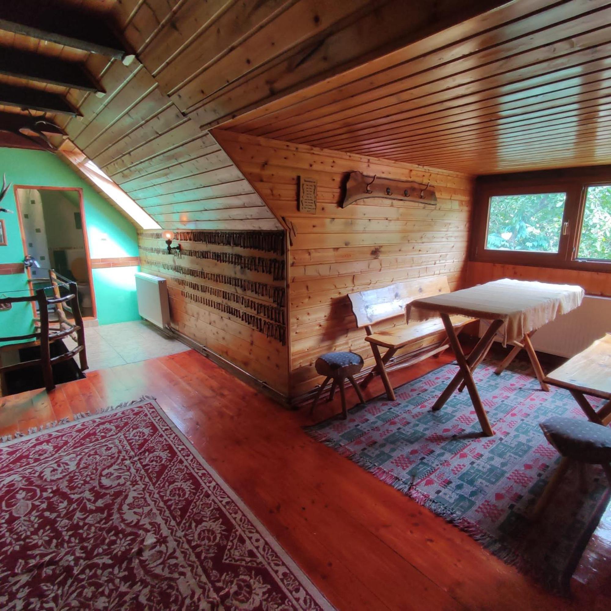 Casa De Vacanta Vidrighin Rau Sadului Номер фото