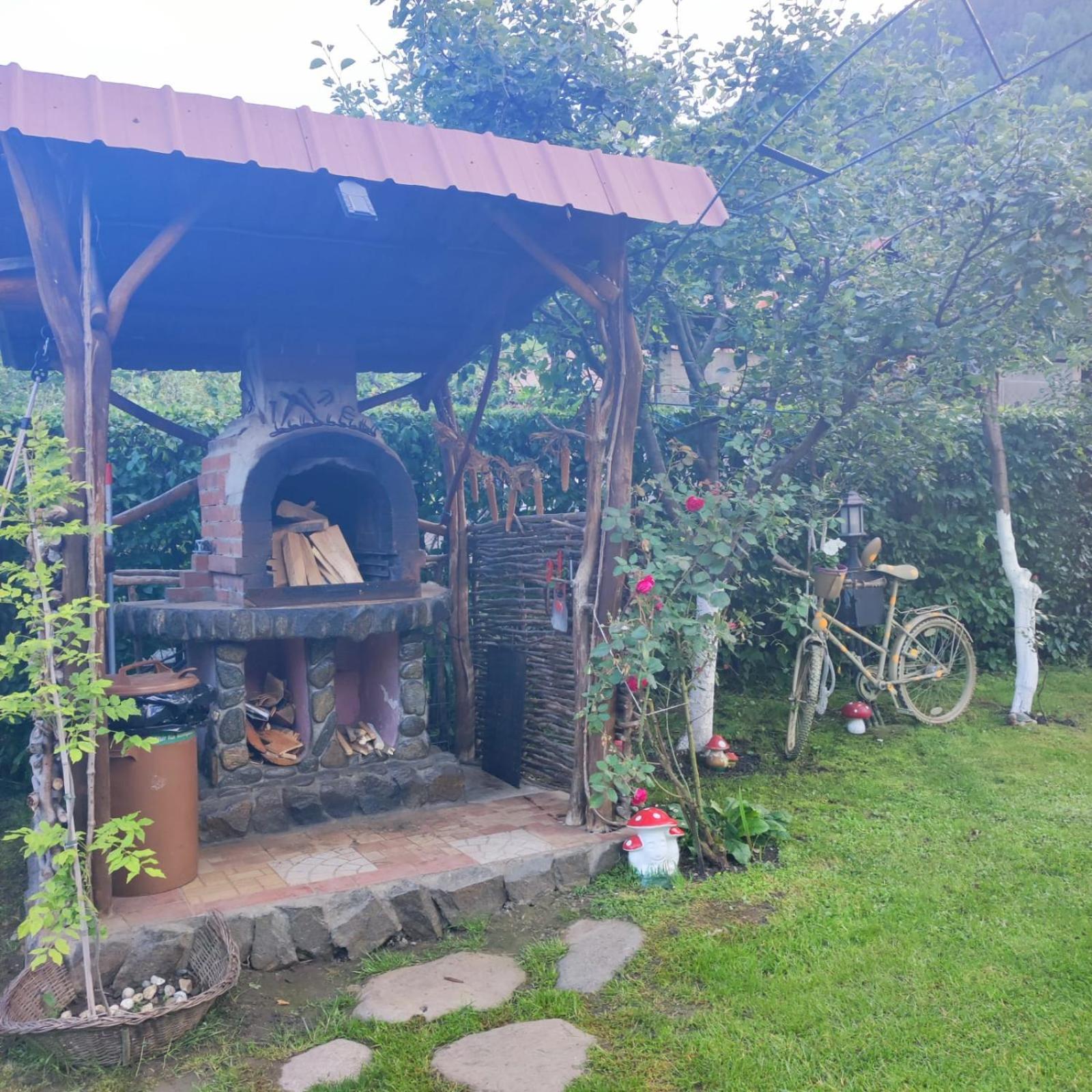 Casa De Vacanta Vidrighin Rau Sadului Номер фото