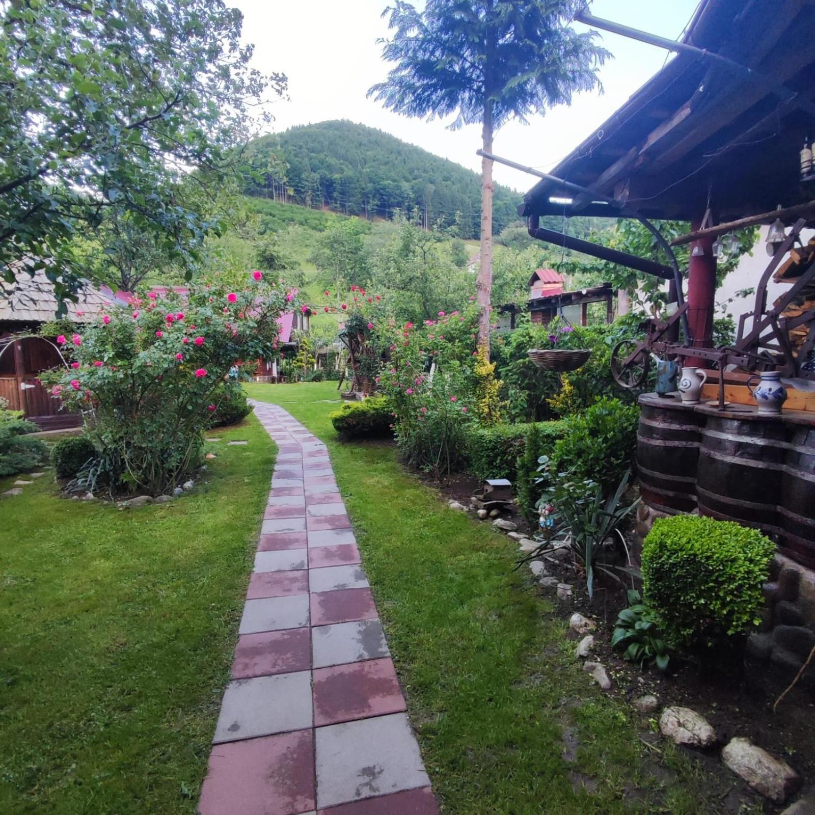 Casa De Vacanta Vidrighin Rau Sadului Номер фото