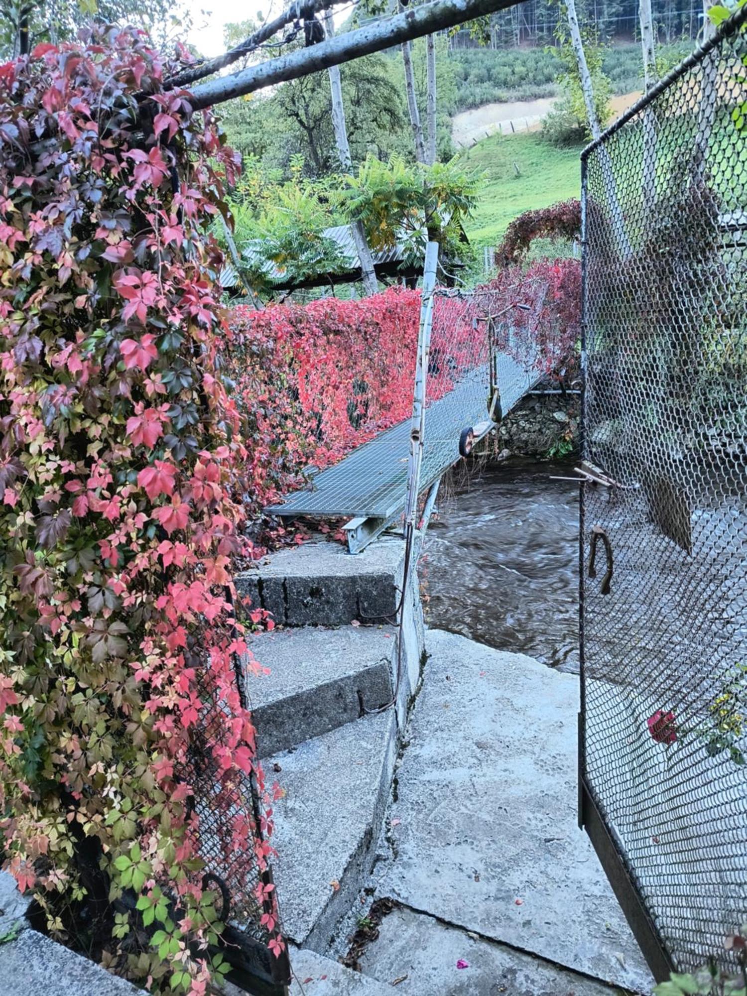 Casa De Vacanta Vidrighin Rau Sadului Номер фото