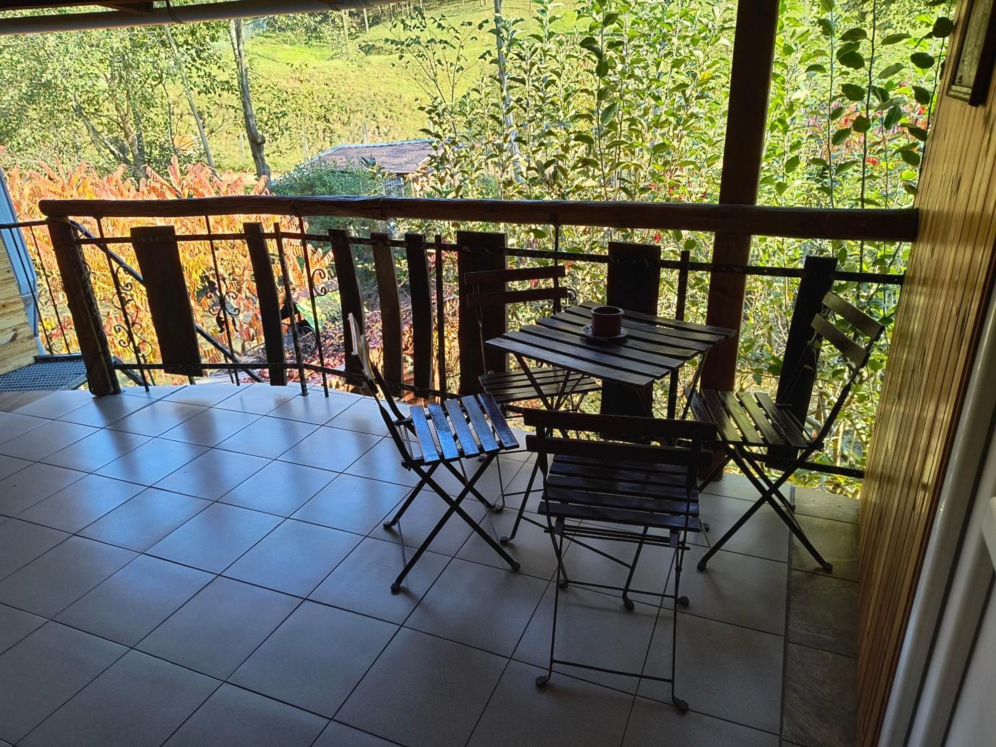 Casa De Vacanta Vidrighin Rau Sadului Номер фото