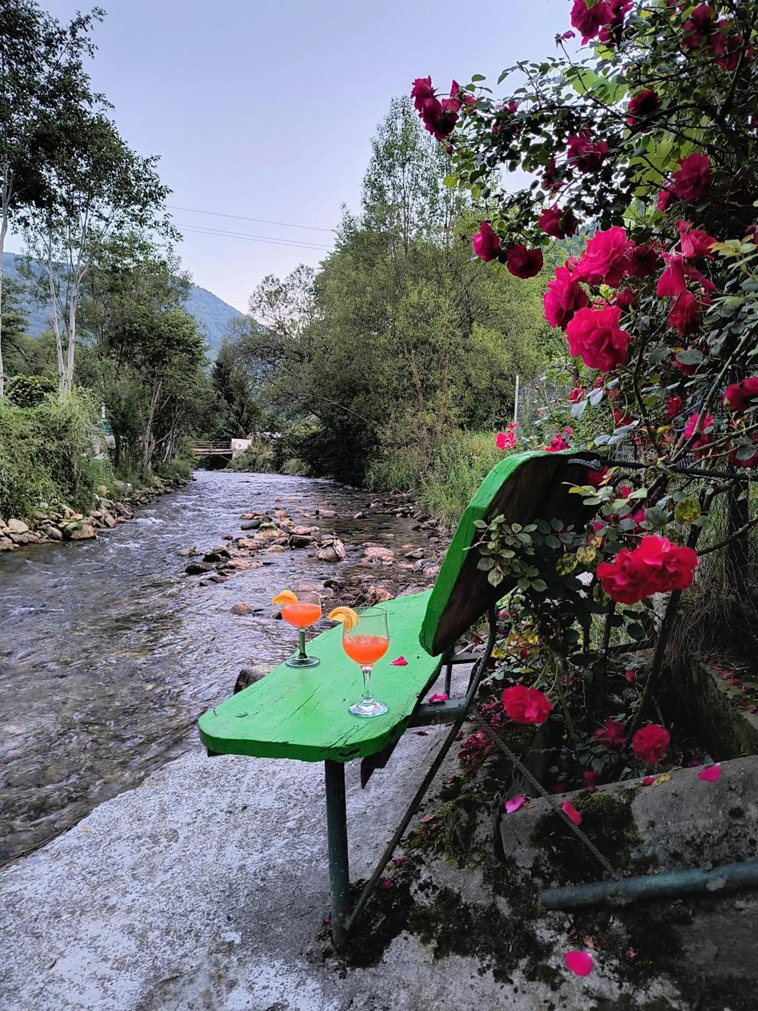 Casa De Vacanta Vidrighin Rau Sadului Номер фото