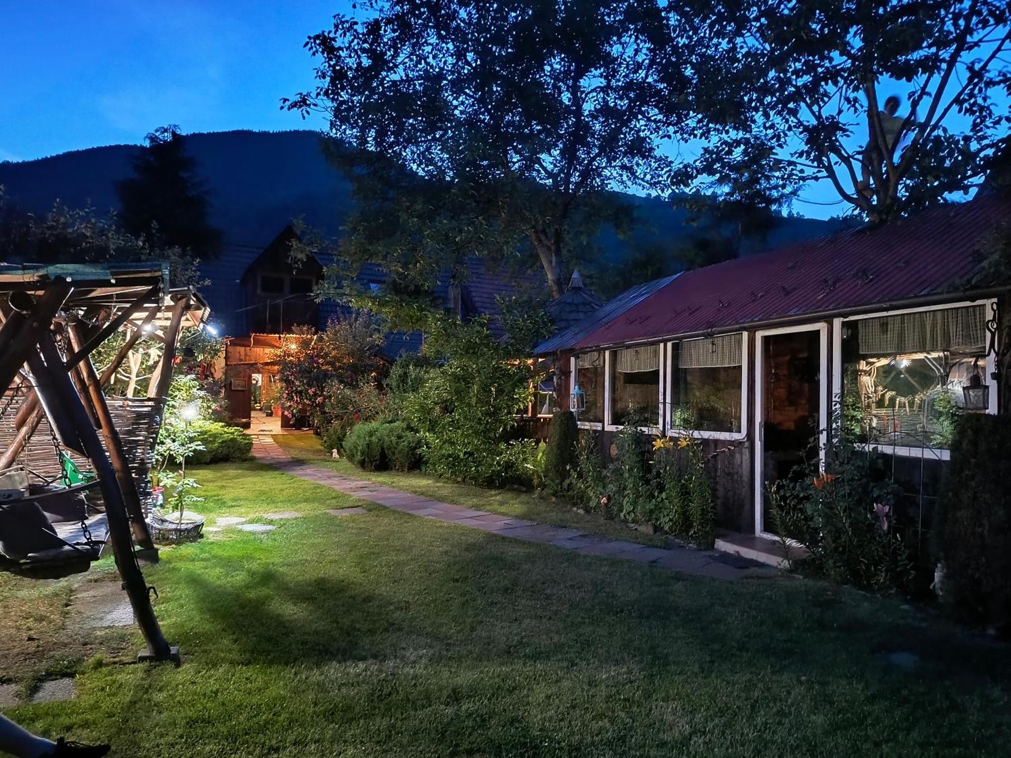 Casa De Vacanta Vidrighin Rau Sadului Екстер'єр фото