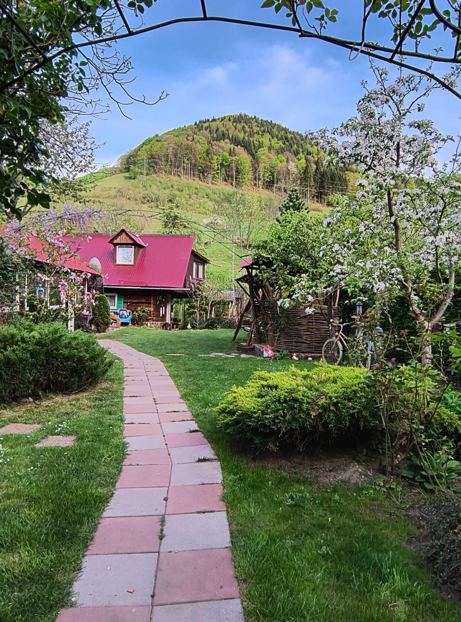 Casa De Vacanta Vidrighin Rau Sadului Екстер'єр фото