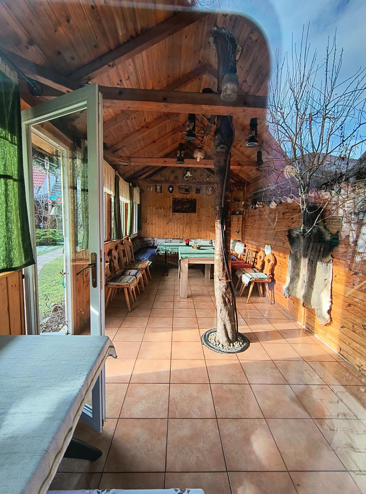 Casa De Vacanta Vidrighin Rau Sadului Екстер'єр фото